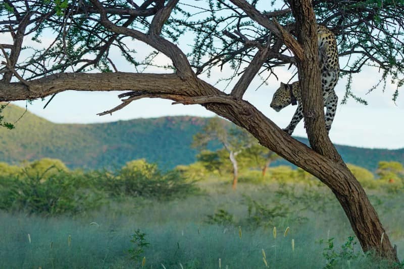 Benny Rebel Fotoreise Namibia 2021