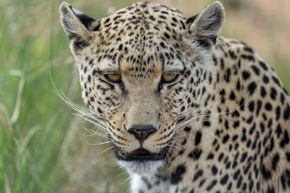 Benny Rebel Fotoreise Namibia 2021