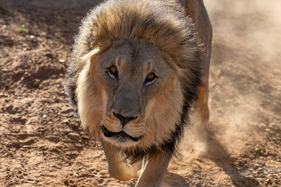 Benny Rebel Fotoreise Namibia 2021