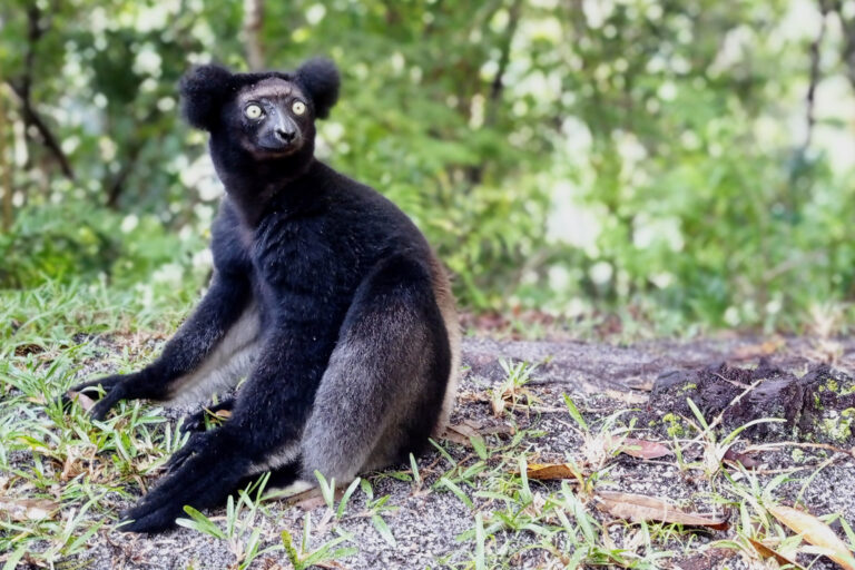 Madagaskar_Fotoreise_Fotosafari_225