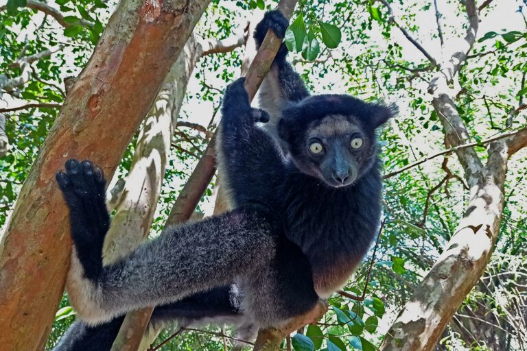 Madagaskar_Fotoreise_Fotosafari_231