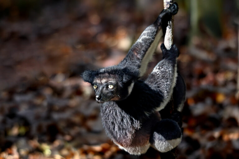 Madagaskar_Fotoreise_Fotosafari_235