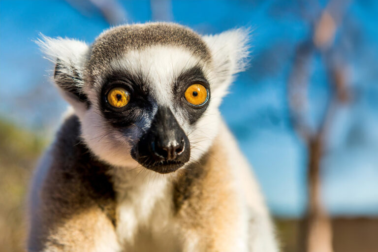 Madagaskar_Fotoreise_Fotosafari_239