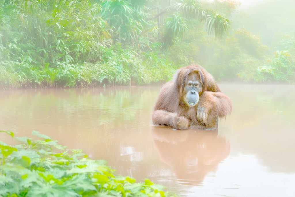 Borneo_Fotosafari_Malaysia_Fotoreise_005