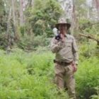 Fotografie beim Spaziergang in der Wildnis Australiens