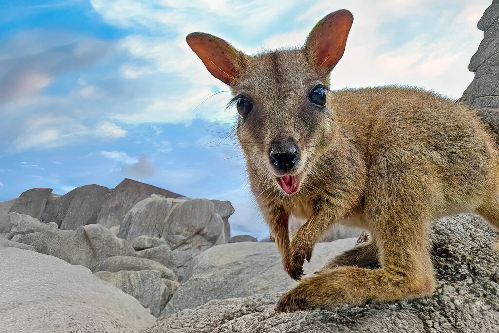 Australien_Fotoreise_500_