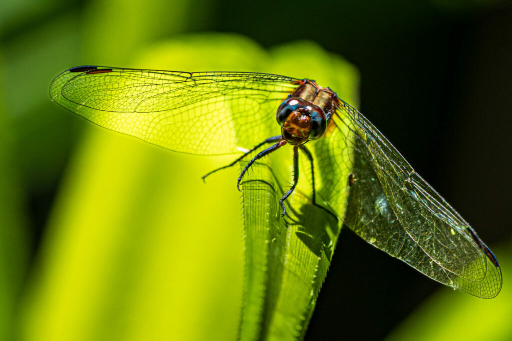 Australien_Fotoreise_531_