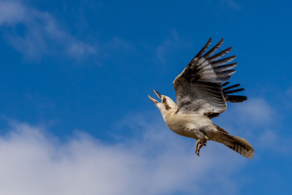 Australien_Fotoreise_537_