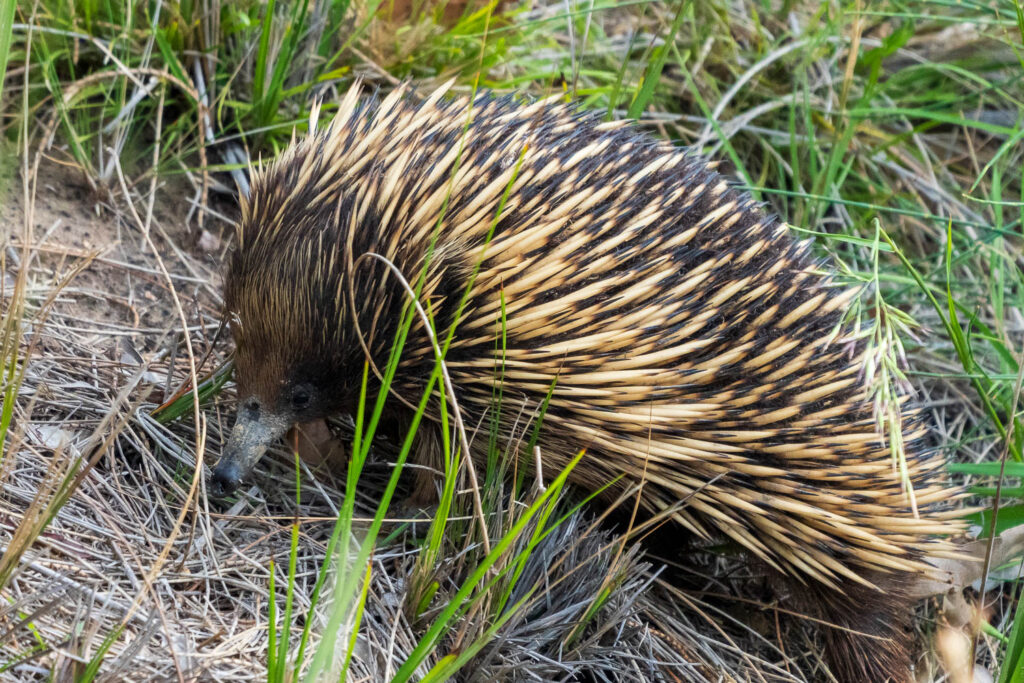 Australien_Fotoreise_549_