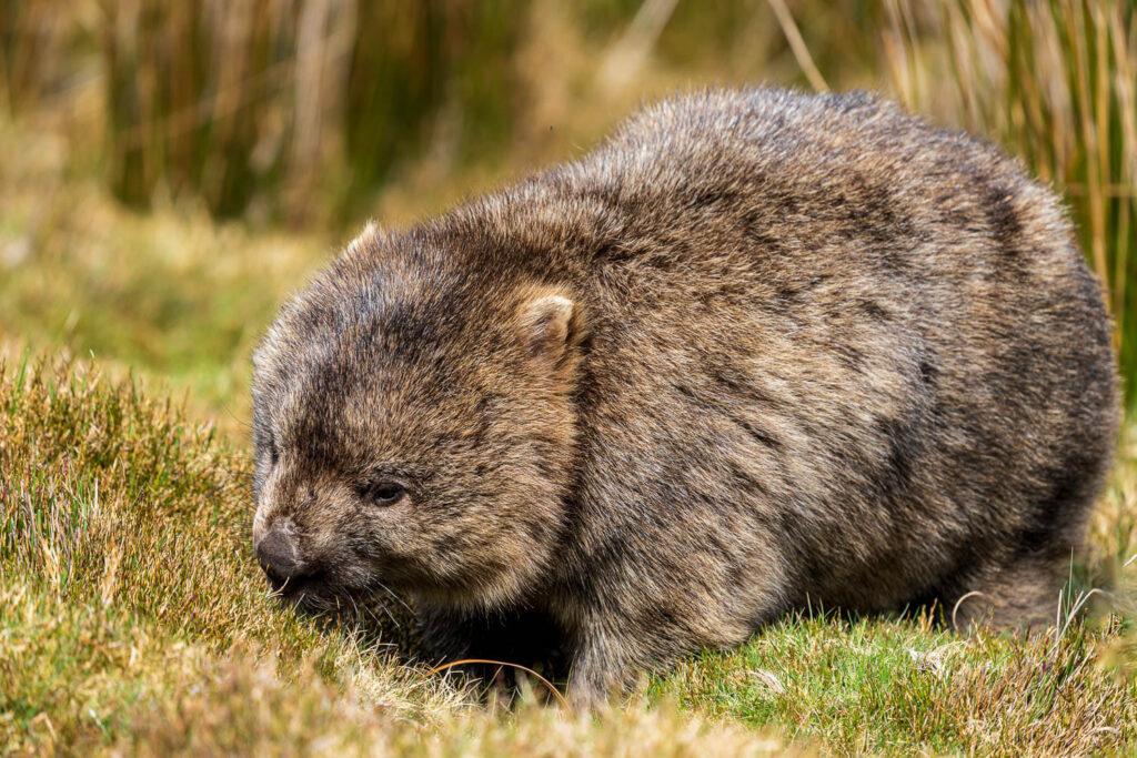 Australien_Fotoreise_553_