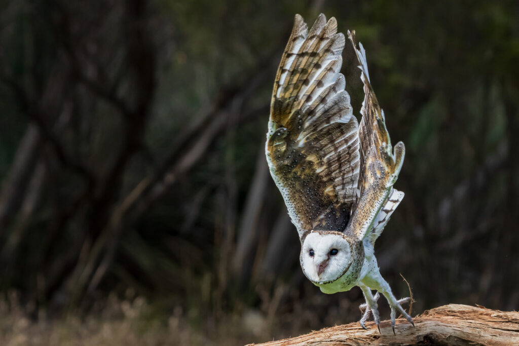 Australien_Fotoreise_555_