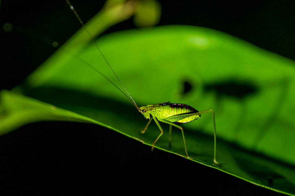 Australien_Fotoreise_565_