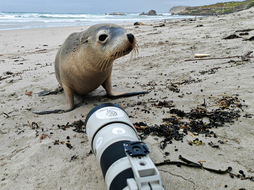 Australien_Fotoreise_579_