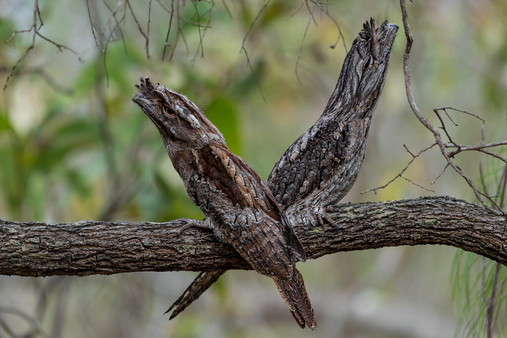 Australien_Fotoreise_586_