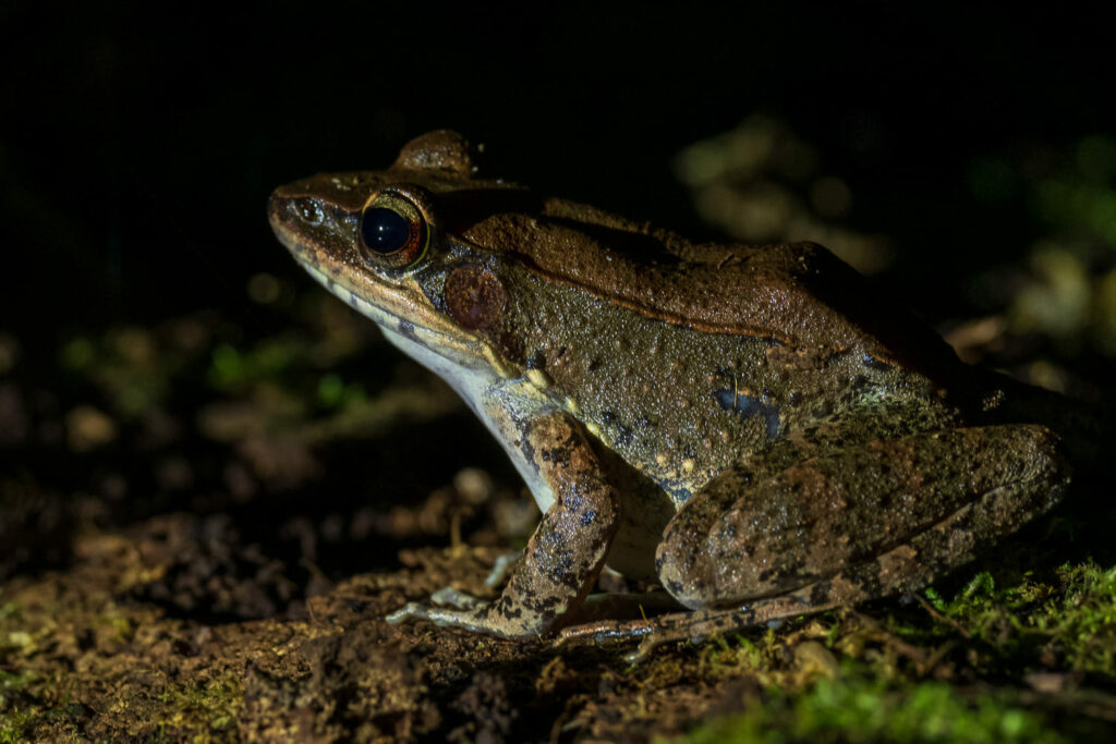 Australien_Fotoreise_592_