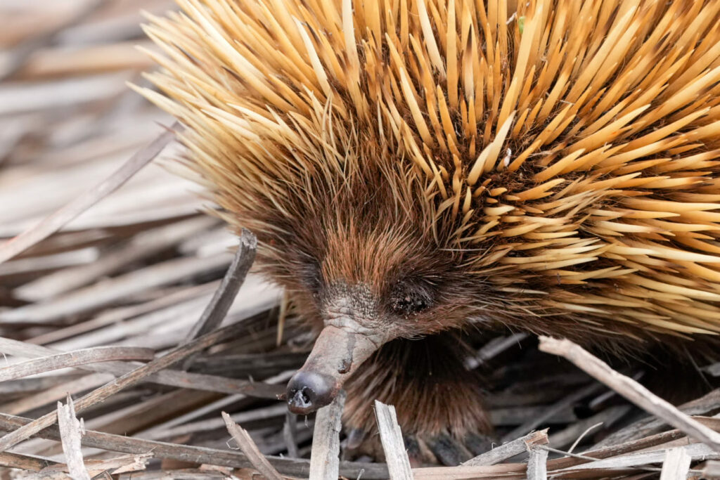 Australien_Fotoreise_604_