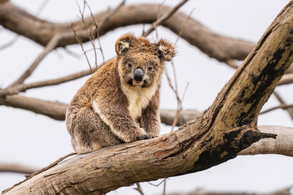 Australien_Fotoreise_617_