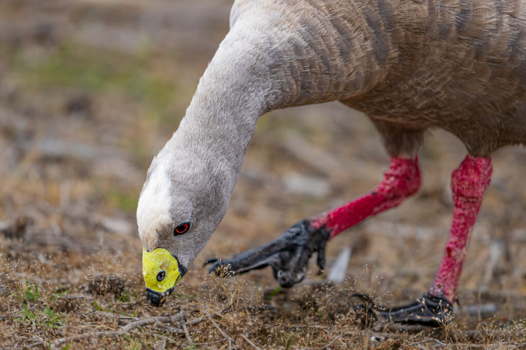 Australien_Fotoreise_634_