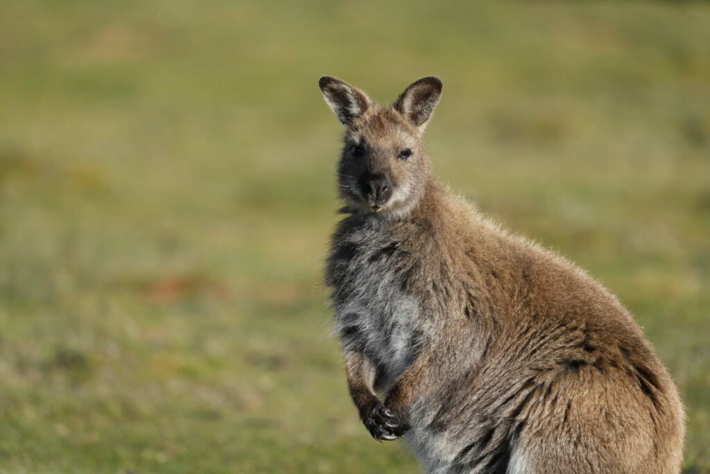 Australien_Fotoreise_665_