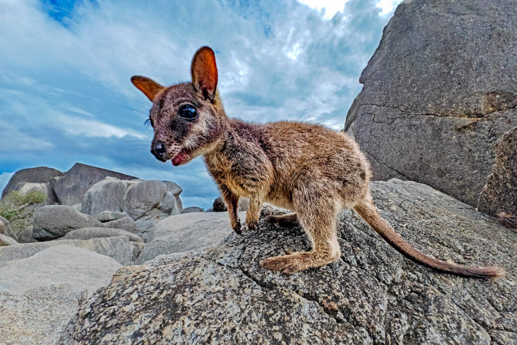 Australien_Fotoreise_667_