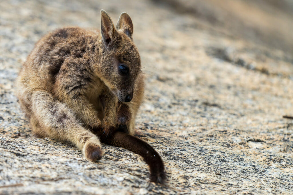 Australien_Fotoreise_674_