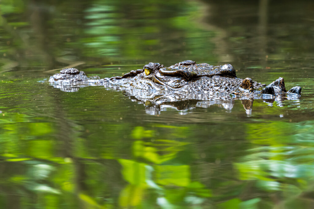 Australien_Fotoreise_688_