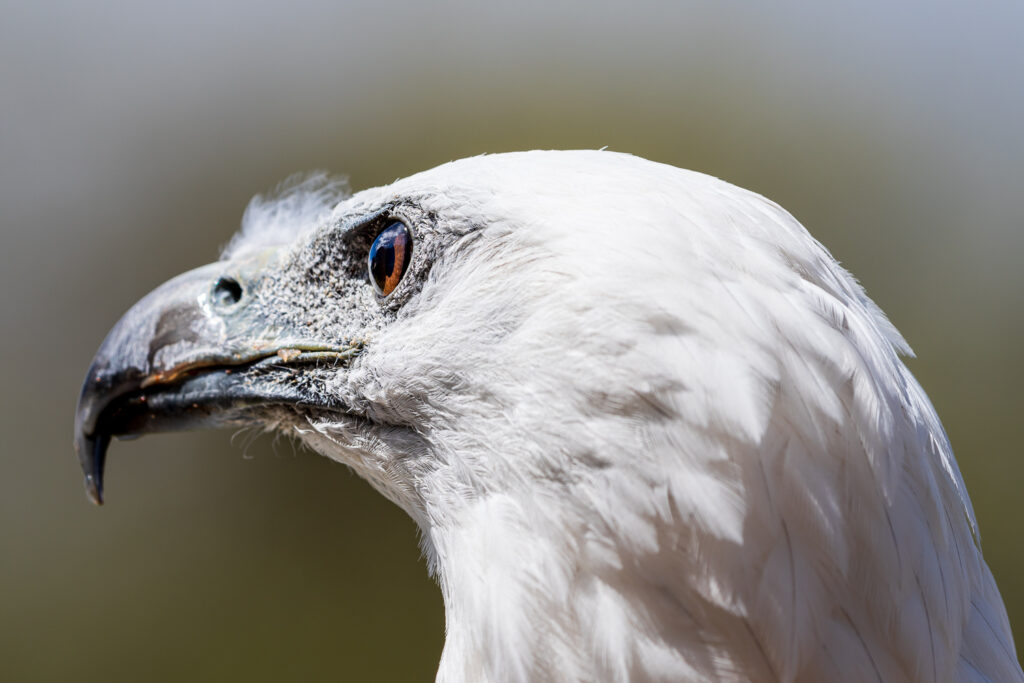 Australien_Fotoreise_694_