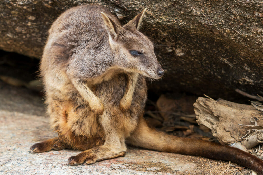 Australien_Fotoreise_698_