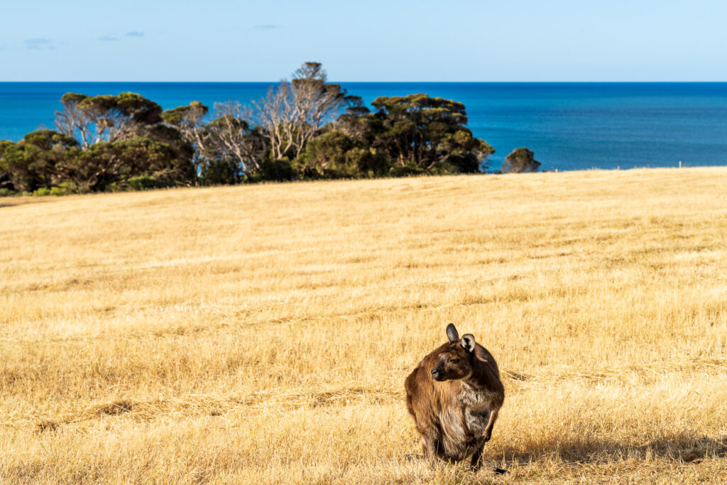 Australien_Fotoreise_701_