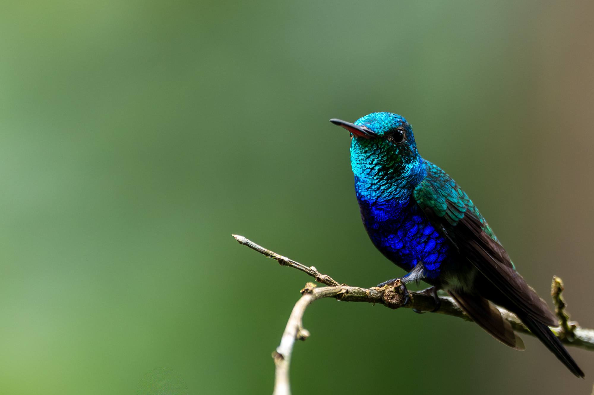 Fotoreise Galapagos + Fotosafari Ecuador mit Benny Rebel Fotosafaris GmbH.