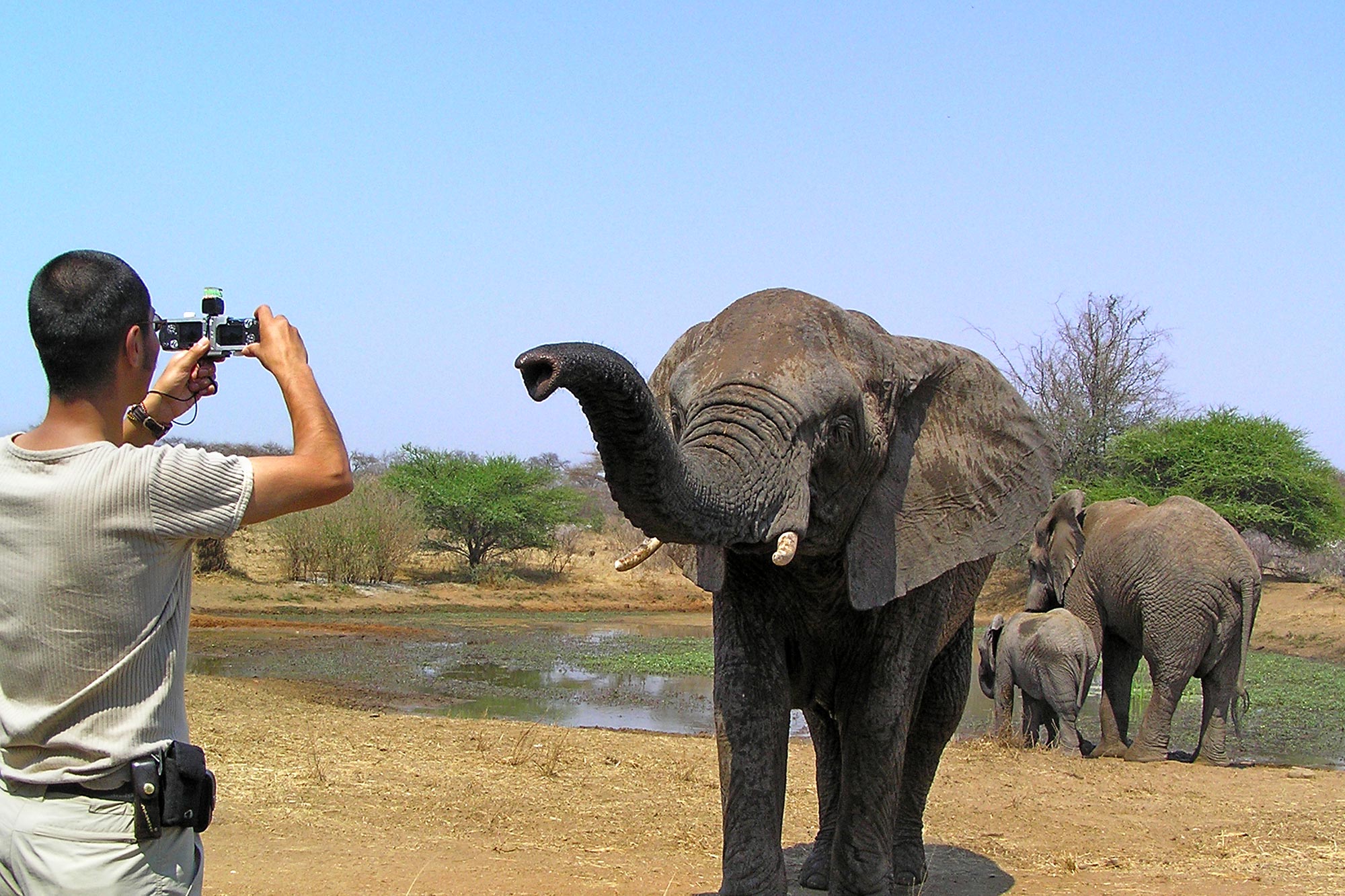 Benny Rebel fotografiert Elefanten in der afrikanischen Wildnis mit einer speziellen 3D-Kamera für seinen Bildband.
