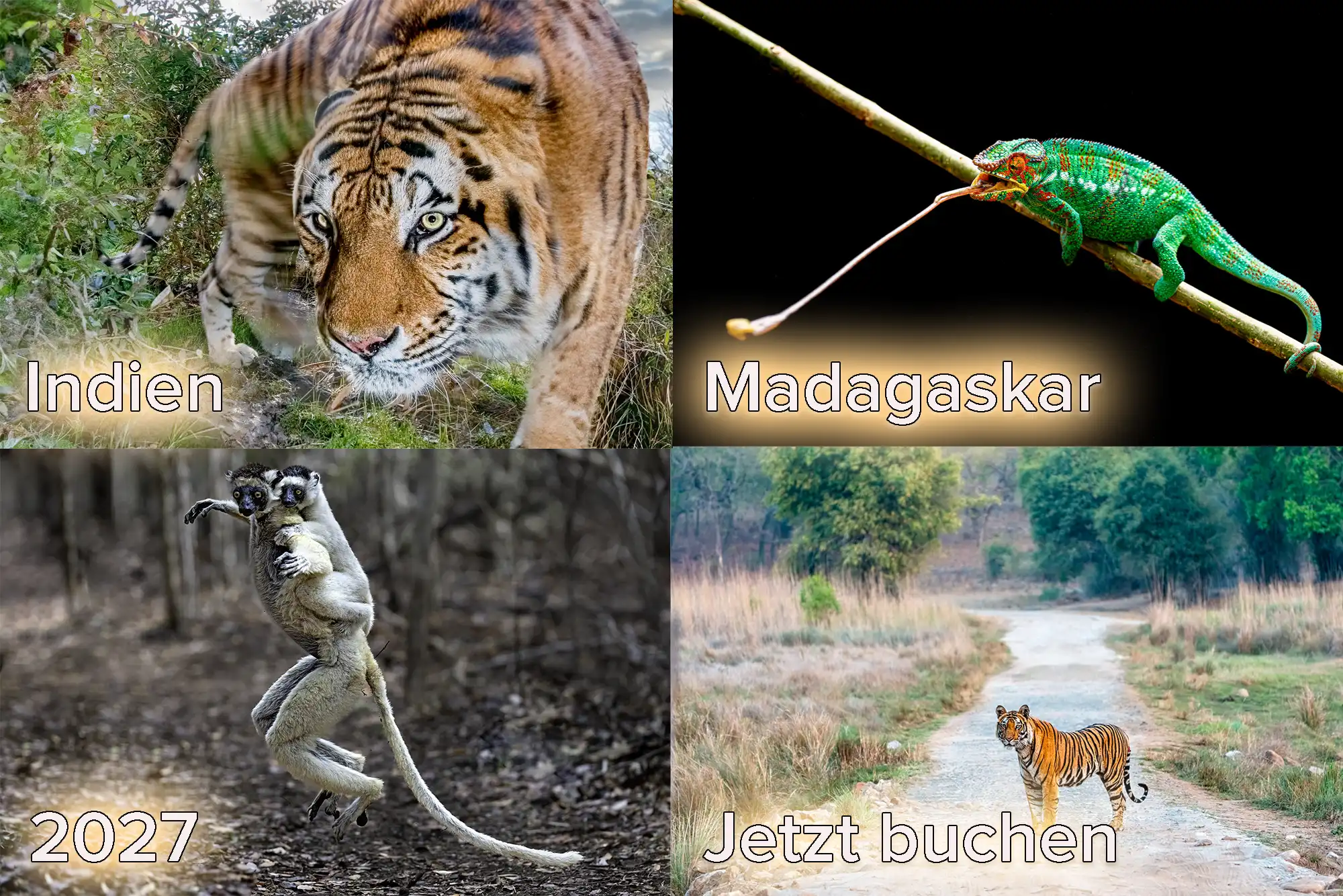 Werbung für Fotoreisen Indien und Madagaskar