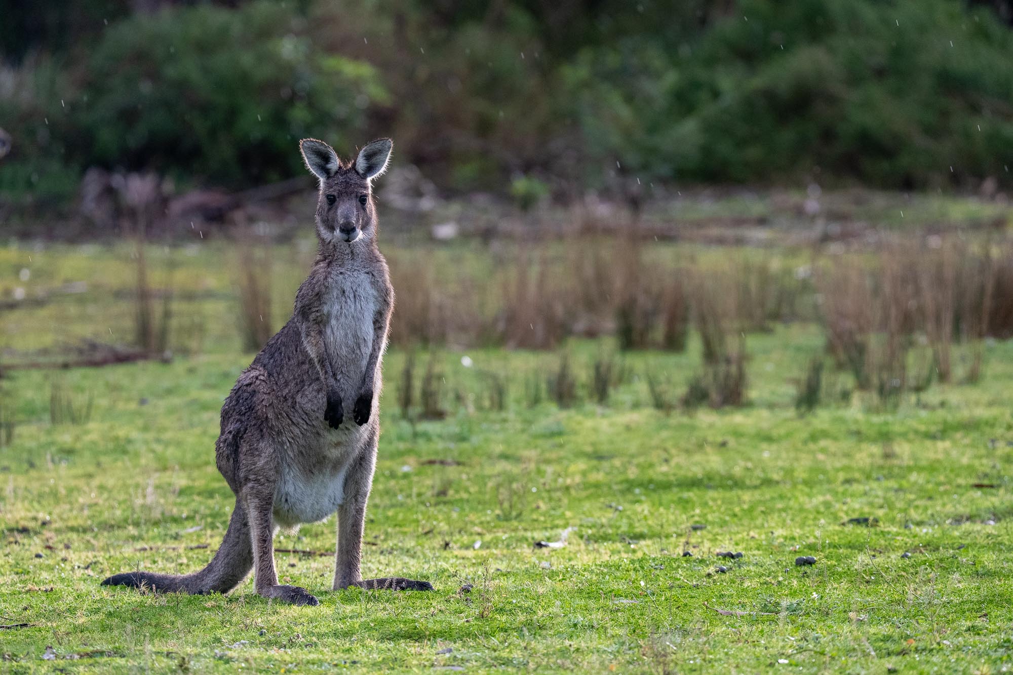 Australien Fotoreise mit Benny Rebel Fotosafaris GmbH.