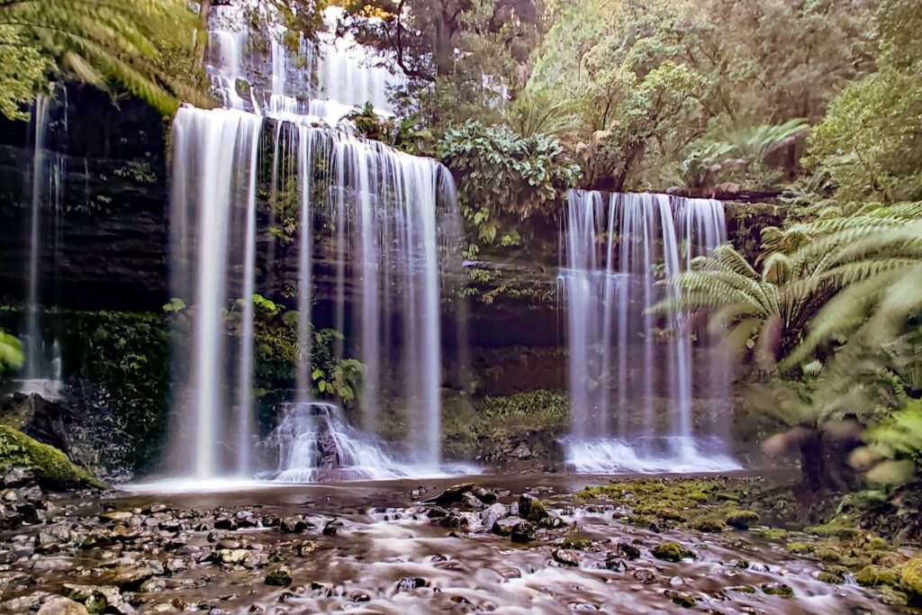 Wo die Bäume den Himmel berühren – ein märchenhafter Wald in Tasmanien.